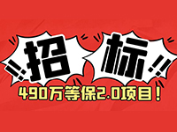 等保2.0都要买啥？政务信息网云平台等保2.0项目，预算490万