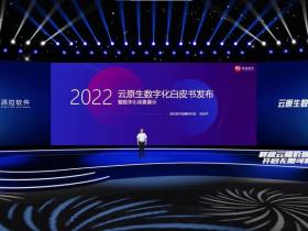 派拉软件《云原生企业数字化白皮书》正式发布