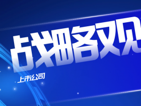 上市公司战略观察:专访绿盟科技「智慧安全3.0」的客户价值