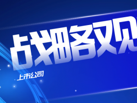 上市公司战略观察：专访绿盟科技「智慧安全3.0」的客户价值