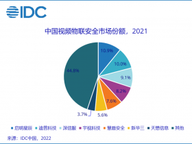IDC发布|天懋信息位居视频物联安全管理平台市场领导者