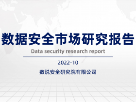《2022年数据安全市场报告》重磅发布,91页干货精品数据图表