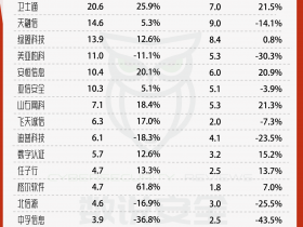 2022年网络安全上市公司Q3营收、净利润、毛利润排行