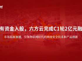 国有资金入股，六方云完成C1轮2亿元融资