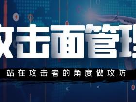 装钱的兜破了个洞,你和贼谁先发现?结局大不一样丨认识攻击面管理