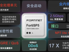 Fortinet发布新一代安全芯片 FortiSP5,低功耗,高性能