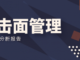 攻击面管理谁家强?数说安全《攻击面管理产品市场分析报告》发布