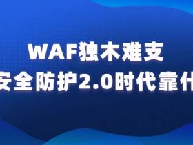 WAF独木难支 应用安全防护2.0时代靠什么?