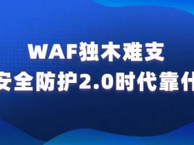 WAF独木难支 应用安全防护2.0时代靠什么？