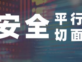 安全平行切面改变了网安产品技术架构,将引发行业变革