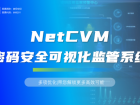 NetCVM密码安全可视化监管系统多项优化,带您解锁更多高效可能