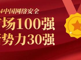 2024中国网络安全市场100强、新势力30强发布!
