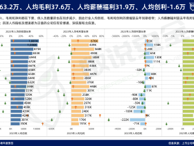 海外VS国内:网安上市公司人均创收对比