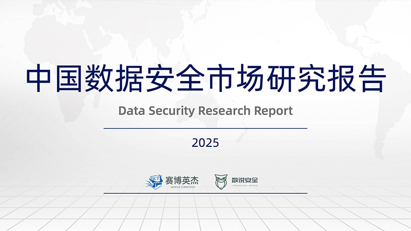 2025数据安全报告